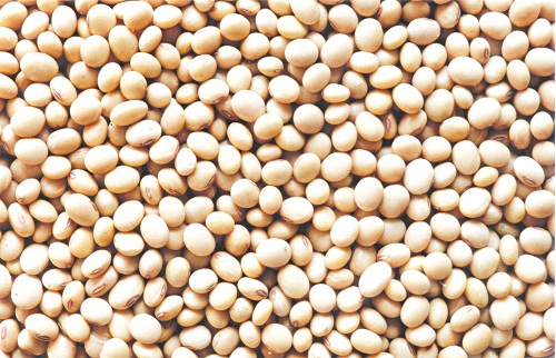 Lực mua tích cực gia tăng ở một số mặt hàng nông sản