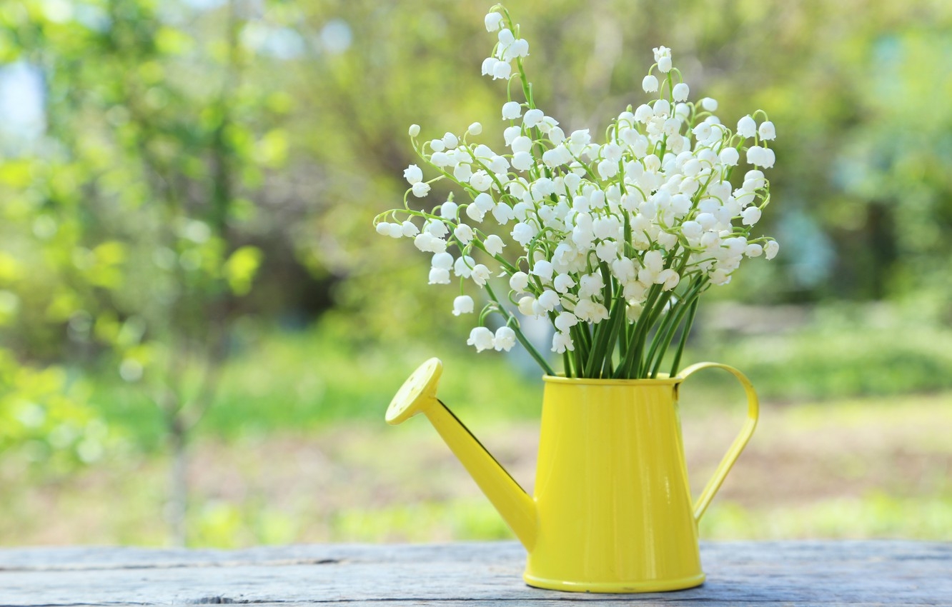 Tử vi 12 cung hoàng đạo ngày 2442022 Thiên Bình có sự kiên nhẫn và thấu hiểu trong tình yêu