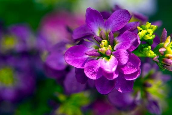 Tử vi 12 cung hoàng đạo tuần từ 254 - 15 Bọ Cạp có những chuyển biến đáng kể về tài chính