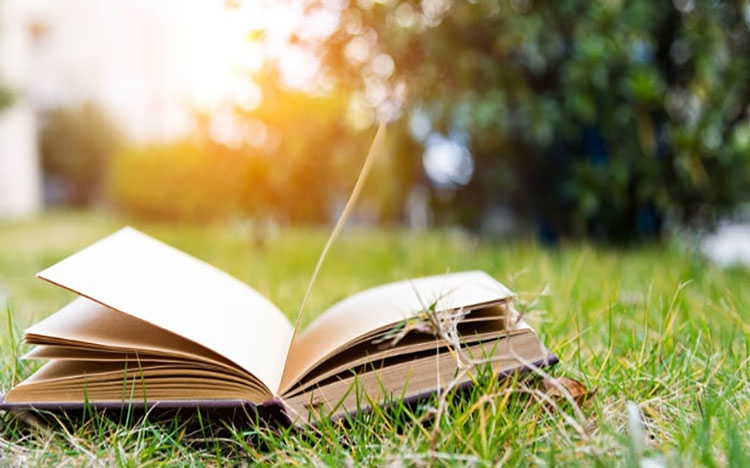 Tử vi tuần mới từ 254 - 15 Tuổi Thìn hung cát đan xen tuổi Dậu gia tăng tài lộc