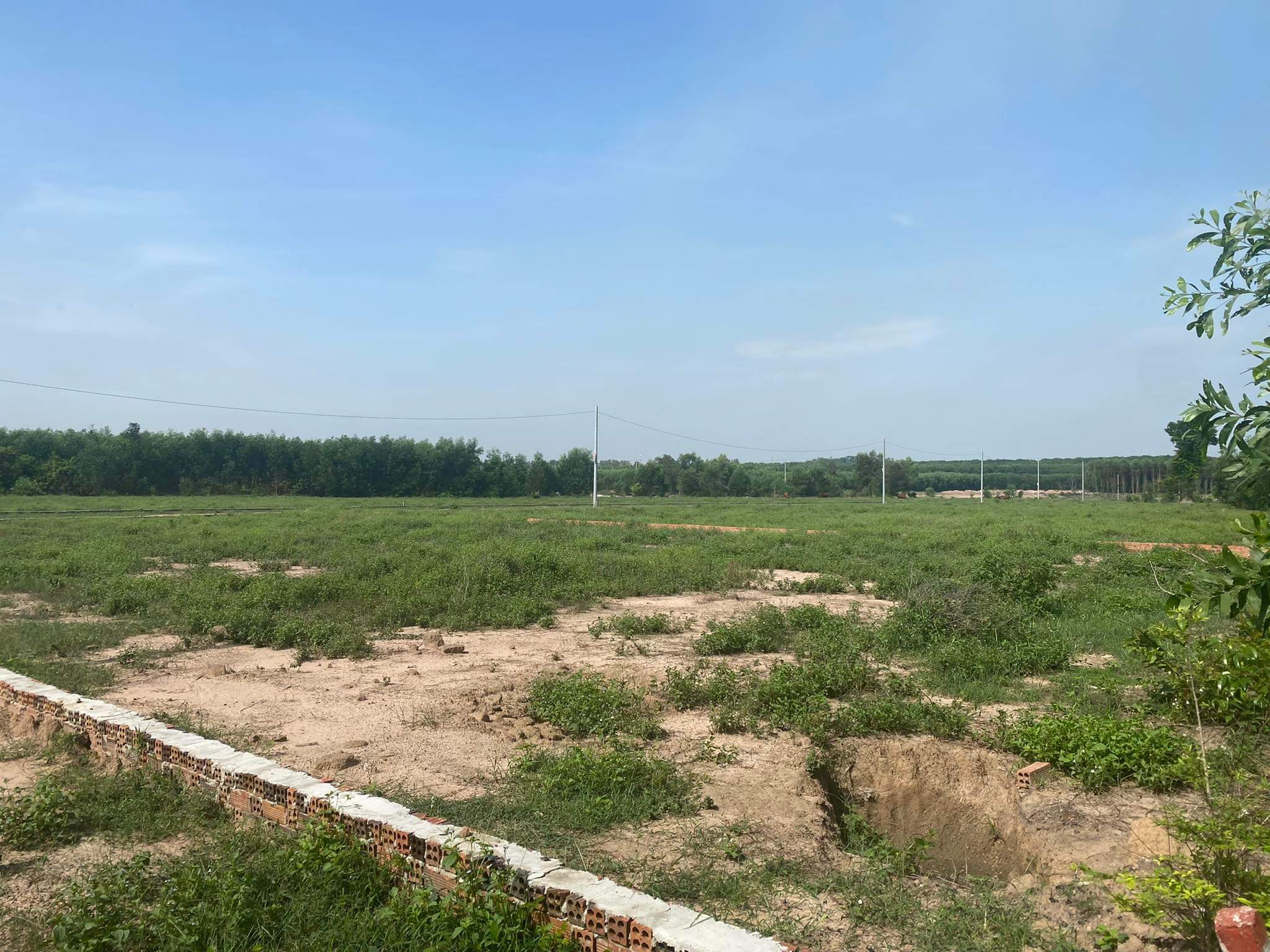 Đồng Nai Lập đoàn giám sát việc cấp giấy chứng nhận quyền sử dụng đất đồng sở hữu, tách thửa 