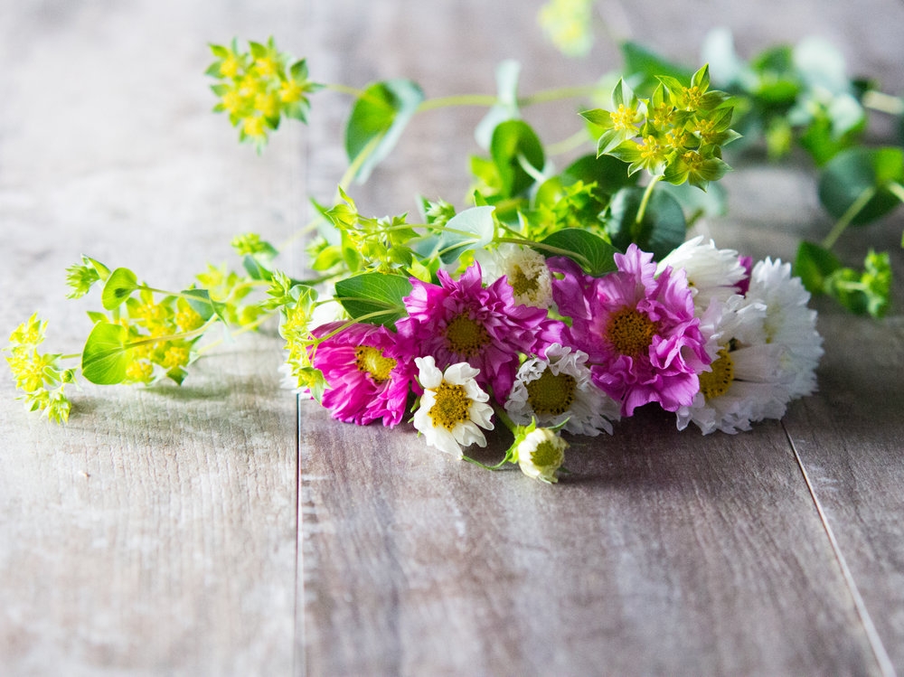 Tử vi ngày 2842022 Tuổi Thân đón lộc đầy tay tuổi Sửu bất hòa tình cảm