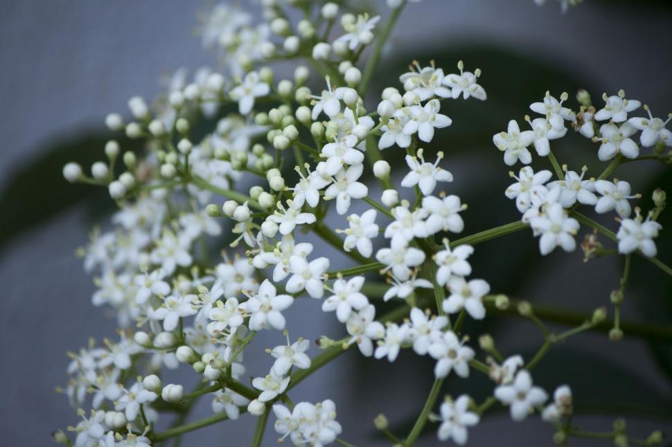 Tử vi 12 cung hoàng đạo ngày 2842022 Bạch Dương mơ mộng về tình yêu Bọ Cạp cô độc