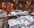 Bộ Tài chính đề xuất thuế xuất khẩu 5 đối với mặt hàng phân bón