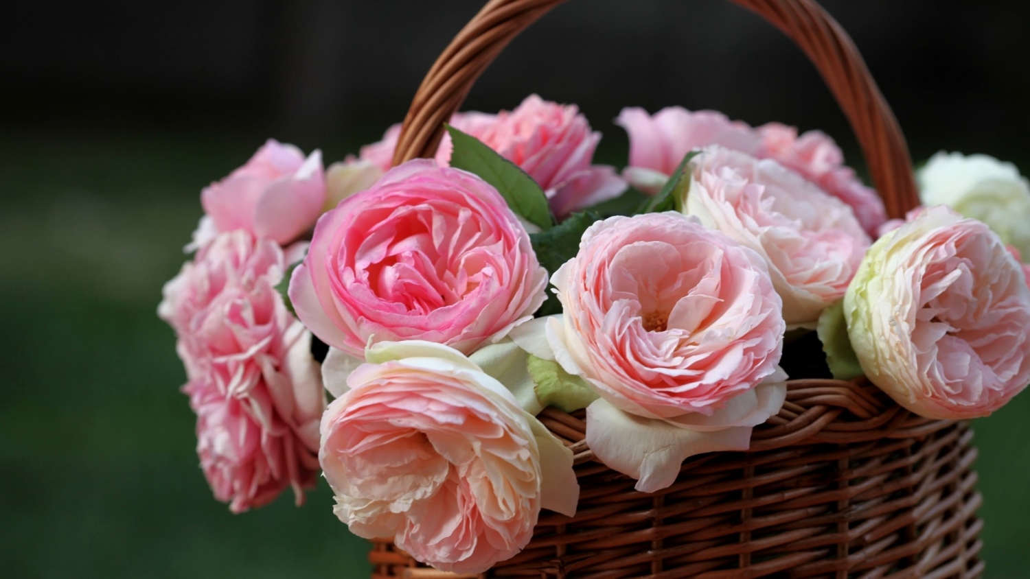 Tử vi 12 cung hoàng đạo ngày 2942022 Song Tử có cơ hội gặp được người tâm đầu ý hợp