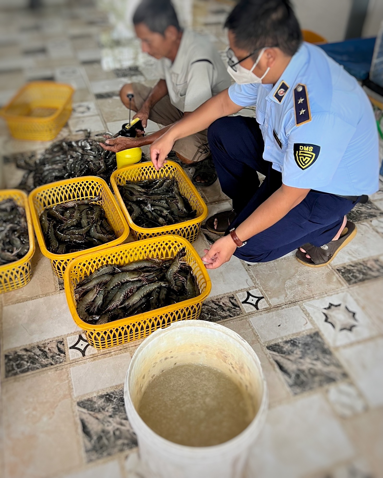 Bắt quả tang cơ sở bơm tạp chất vào Tôm sú nguyên liệu tại Kiên Giang