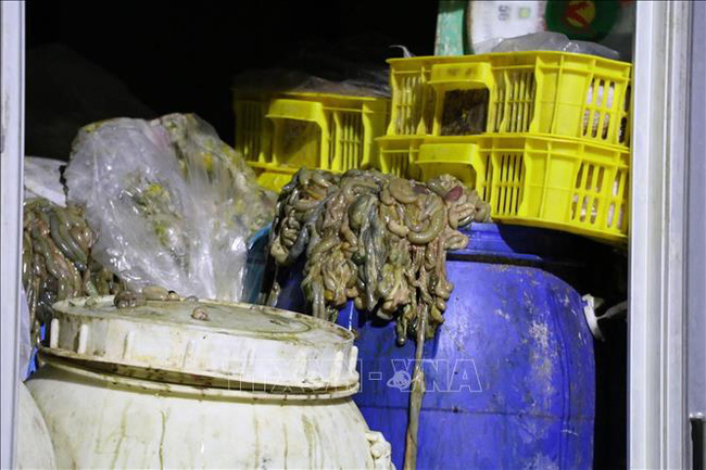 Phát hiện xe tải chở 4 tấn nội tạng bốc mùi hôi thối trên đường đi tiêu thụ