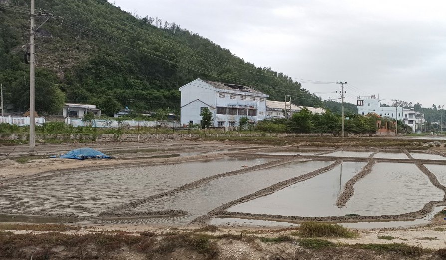 Thu hồi đất công trình Nhà máy muối Sa Huỳnh tại Quảng Ngãi