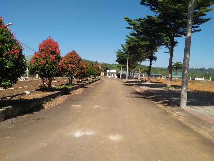 Công ty Mãi Thành ở Lâm Đồng chuyển nhượng 54 lô đất không đúng quy định