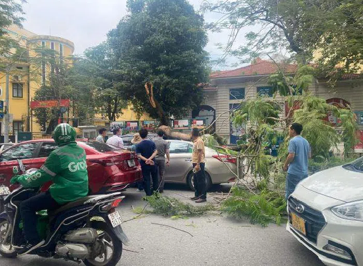 Cây phượng gãy đổ đè bẹp hai xe ôtô chờ đèn đỏ trên phố Hà Nội