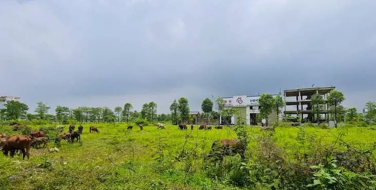 Vướng nhiều sai phạm, Khu đô thị Thanh Hà -Cienco 5 vẫn chưa thể hồi sinh