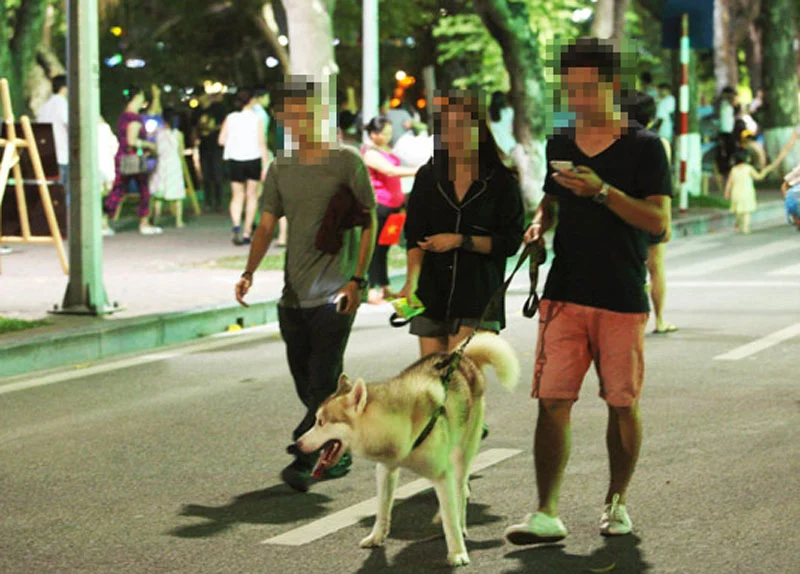 Hà Nội cấm mang thú cưng, loa công suất lớn vào phố đi bộ hồ Gươm