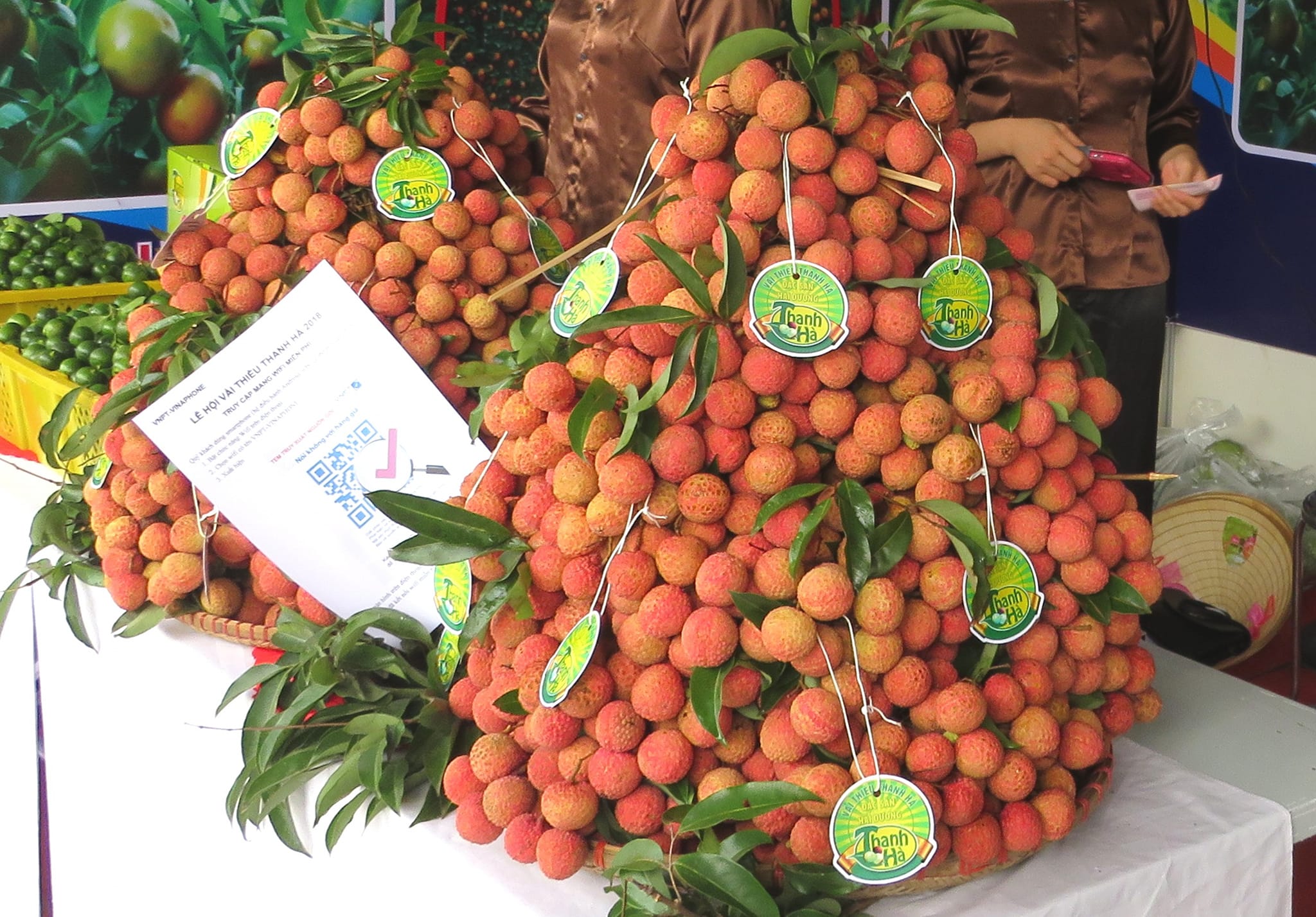 Người dân vùng vải thiều Thanh Hà vui mừng chờ đón Lễ hội mở vườn vải xuất khẩu