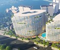 Cổ đông lớn tháo chạy khi cổ phiếu lao dốc DIC Corp vẫn tham vọng doanh thu kỷ lục 