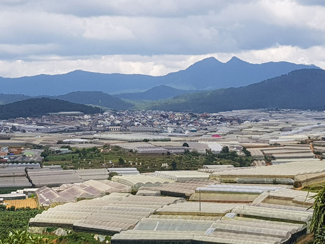 Hoạt động không đúng nội dung cấp phép, Công ty TNHH Thiên Sương Đà Lạt bị xử phạt