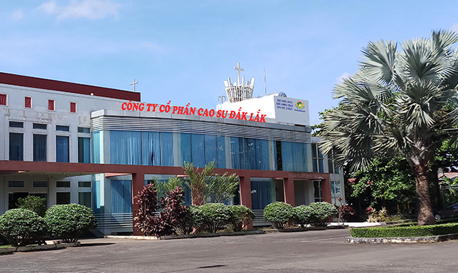 Vì sao Cao su Đắk Lắk (DRG) đặt mục tiêu lợi nhuận năm 2022 giảm 50%