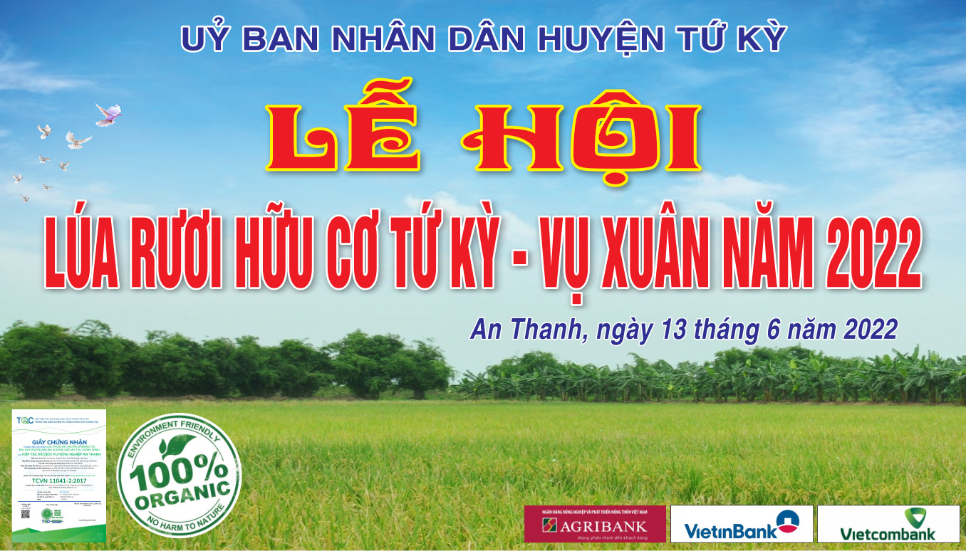 Hải Dương Lần đầu tiên tổ chúc Lễ hội Lúa rươi hữu cơ