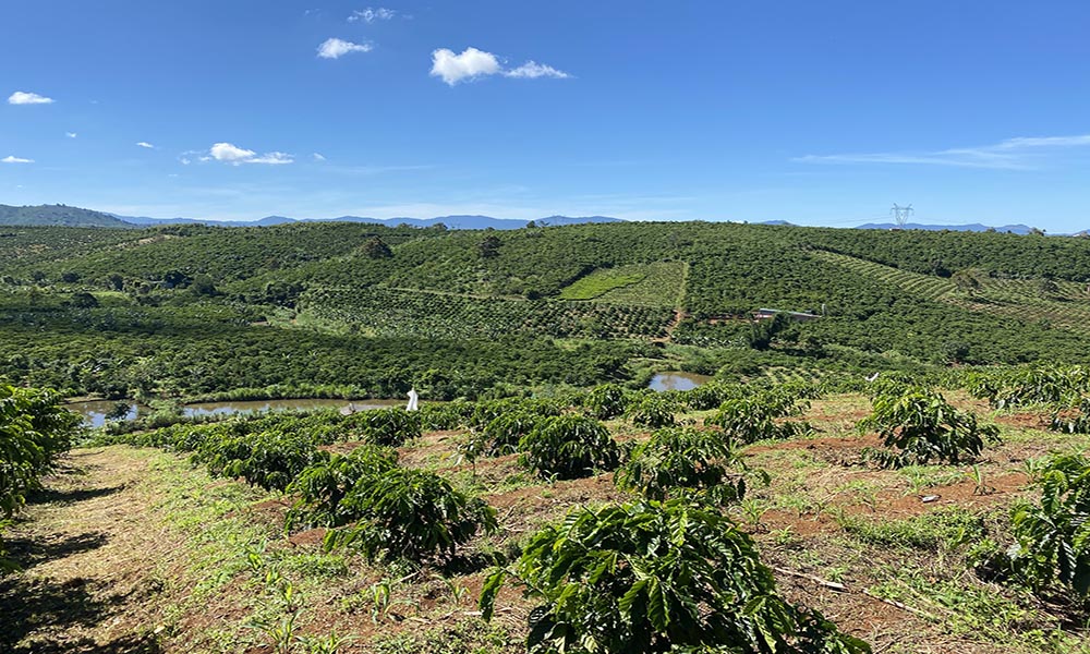 Bác bỏ đề xuất làm dự án KĐT sinh thái 188ha của CTCP Tập đoàn Hillton 