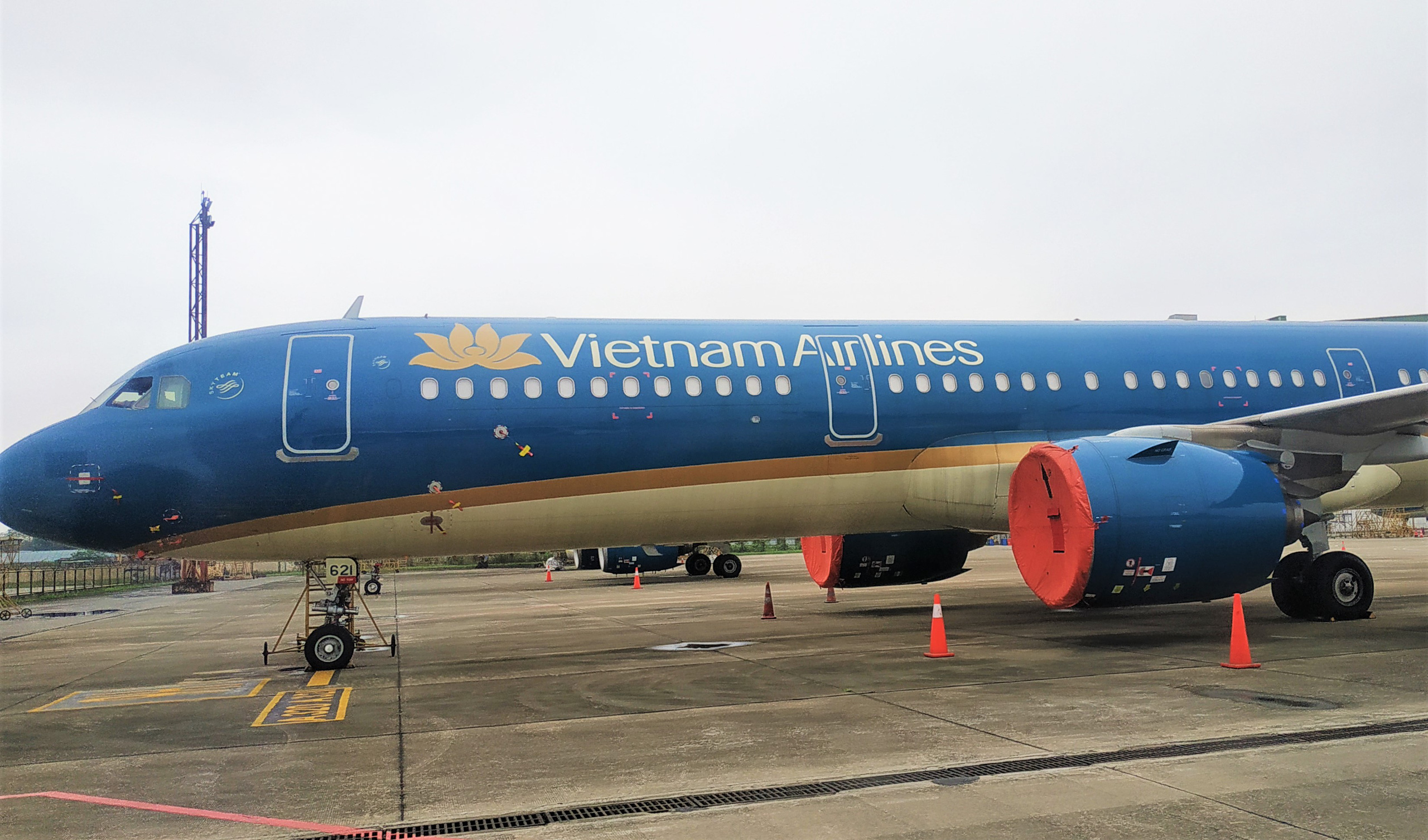 Vietnam Airlines (HVN) khắc phục tình trạng chứng khoán bị kiểm soát bằng cách nào