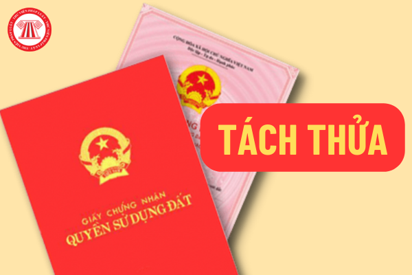 TP.HCM Kiến nghị xem xét việc cấp sổ đỏ cho người dân tự tách thửa, chuyển quyền một phần thửa đất bằng giấy tay