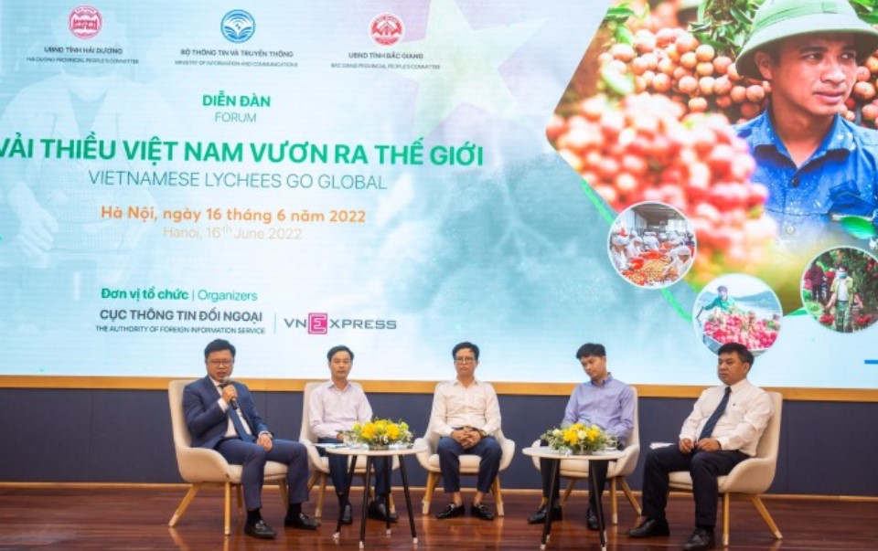 Cần xây dựng hình ảnh vải thiều gắn với văn hóa Việt Nam