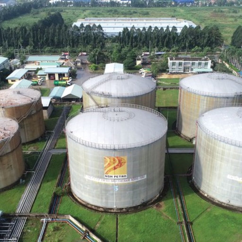 Nam Sông Hậu (PSH) chi hơn 94 tỷ đồng chia cổ tức năm 2021