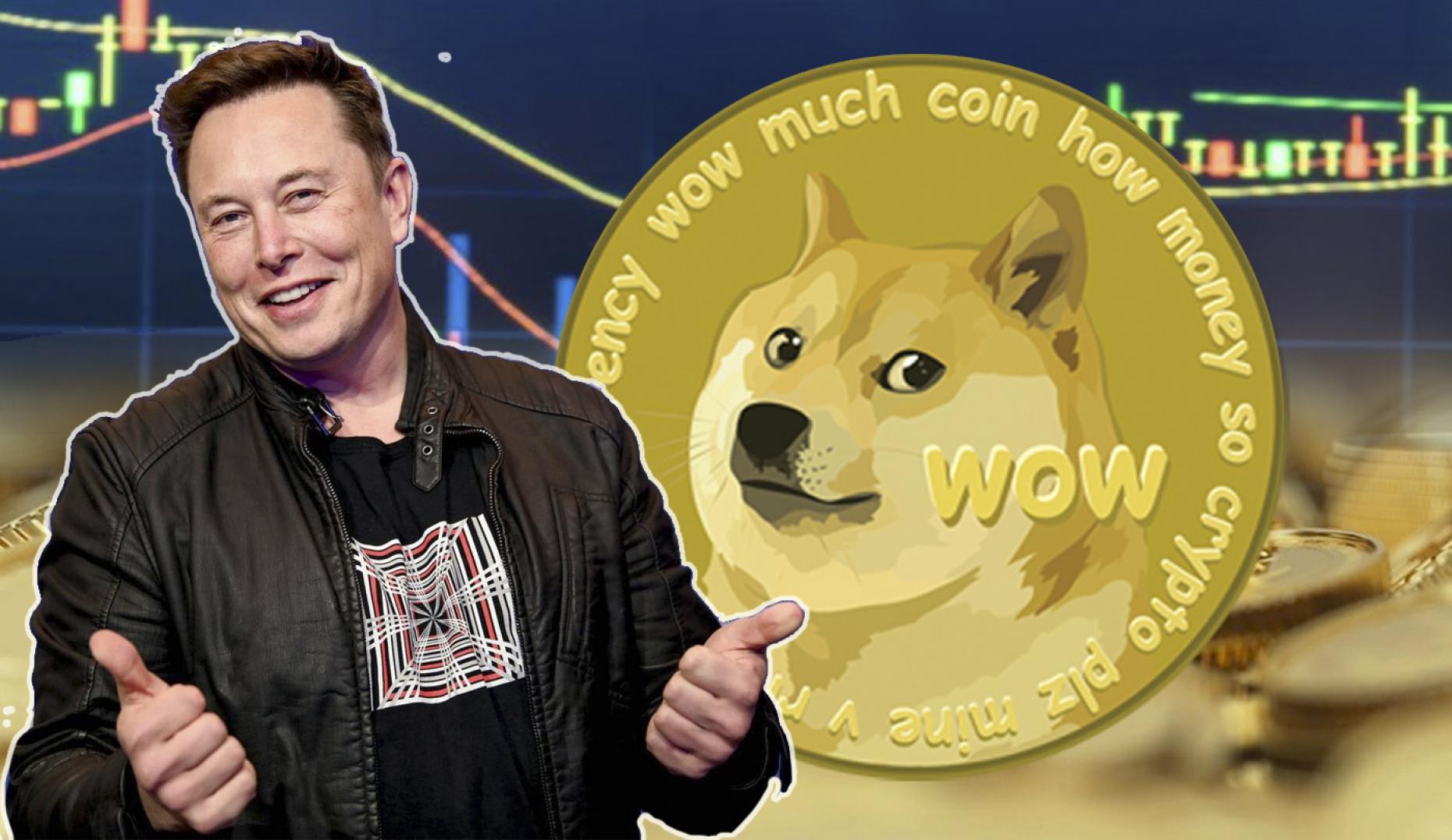Tỷ phú Elon Musk bị kiện, đòi bồi thường 258 tỷ USD vì thao túng Dogecoin