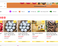 Chủ động “chào hàng trực tuyến” trên thị trường <a style='color:#222' onclick='ga('send', 'event', 'trendings desktop', 'click','thương mại',1.00, {'nonInteraction': 1});' href='/thuong-truong/thuong-mai.html'>thương mại</a> điện tử trong và ngoài nước