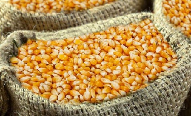 Thị trường hàng hóa 296 Nhóm nông sản đều đóng cửa trong sắc xanh