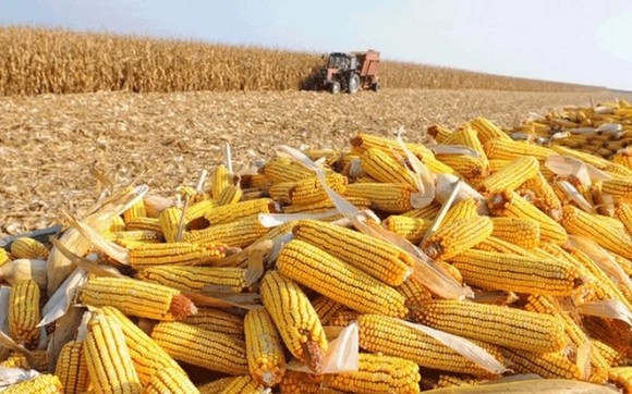 Thị trường Hàng hóa 067 Giá nông sản sụt giảm mạnh