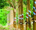 Cao su Phước Hòa PHR báo lãi quý 2/2022 giảm hơn 76 nợ vay tăng 6 lần  