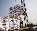 Xuất khẩu tăng đột biến trong 6 tháng đầu năm doanh nghiệp ngành phân bón báo lãi kỷ lục 