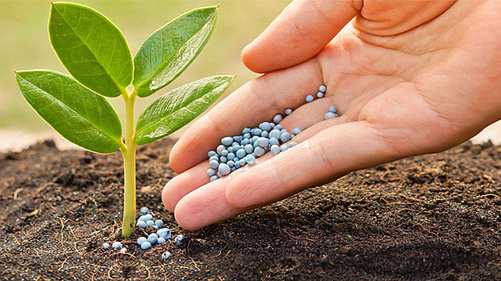 Đạm Phú Mỹ (DPM) chốt quyền chia cổ tức bằng tiền mặt, tỷ lệ 40%