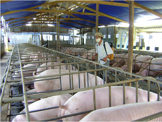 Biện pháp rắn với sản phẩm xử lý chất thải chăn nuôi vi phạm chất lượng