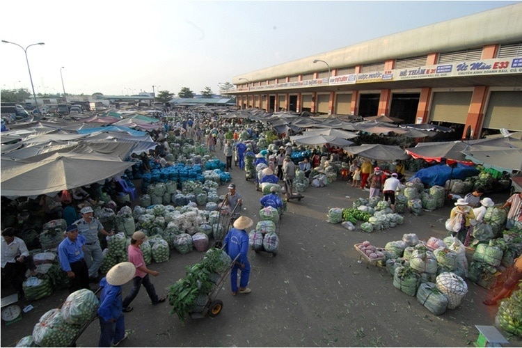 Sản phẩm tham gia chuỗi thực phẩm an toàn tại TP. HCM chứa kháng sinh, chất cấm