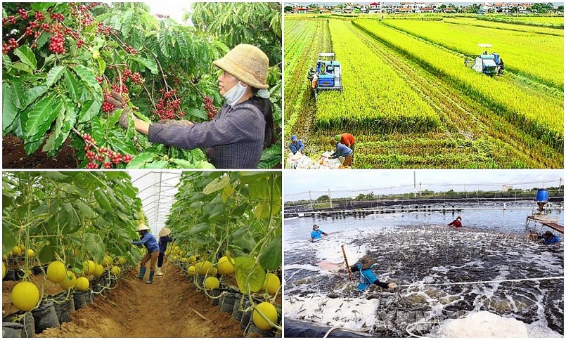 Nhiều hình thức hỗ trợ cho người nghèo phát triển sản xuất nông nghiệp