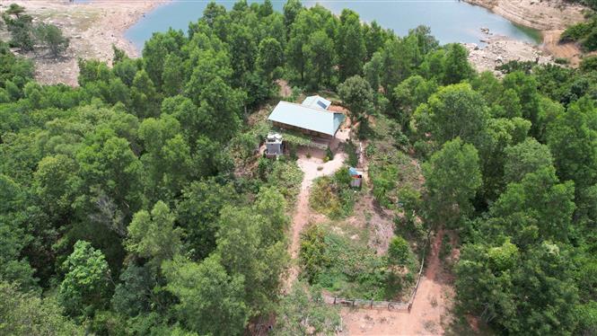 Bình Định yêu cầu xử lý việc lấn chiếm đất rừng và xây dựng trái phép tại huyện Vĩnh Thạnh