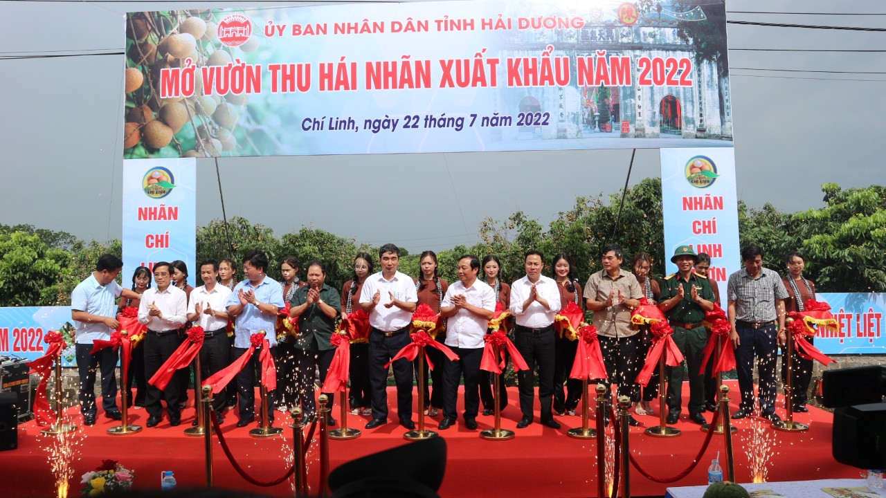 Hải Dương Tổ chức thành công Lễ hội mở vườn thu hoạch nhãn xuất khẩu năm 2022