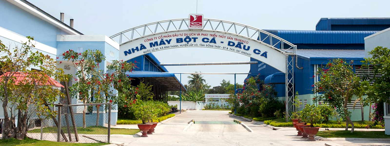 Trisedco (DAT) chốt quyền chia cổ tức bằng cổ phiếu, tỷ lệ 14%