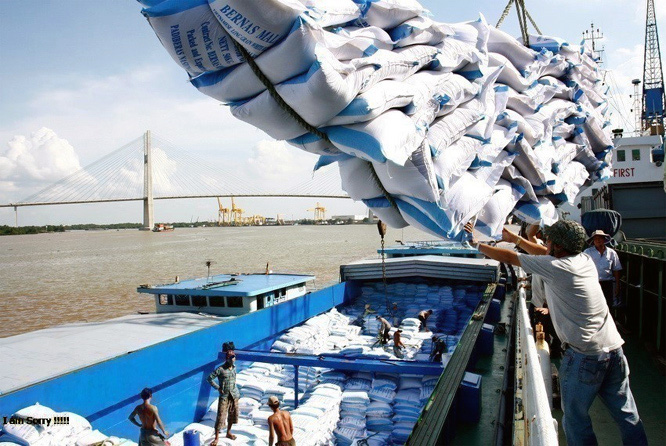 Xuất khẩu gạo Việt Nam chạm mốc 2 tỷ USD trong 7 tháng đầu năm