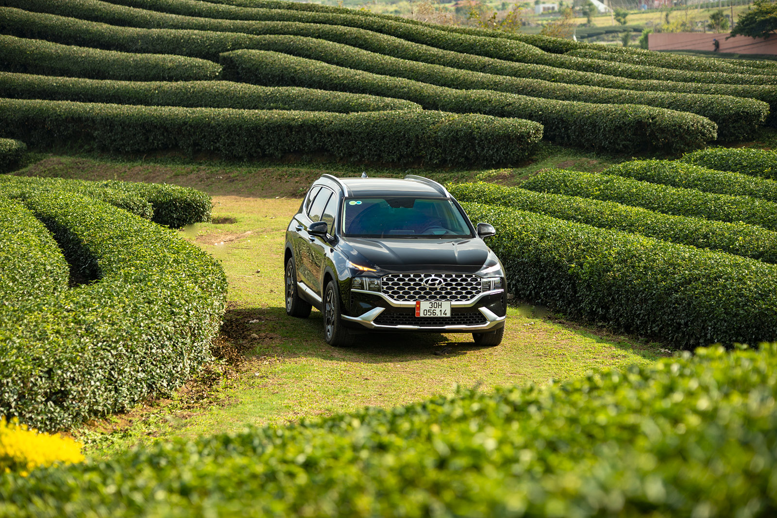 Hyundai Accent tiếp tục là mẫu xe có số lượng bán hàng tốt nhất tháng 7