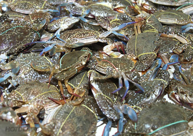 Xuất khẩu cua ghẹ có dấu hiệu tăng trưởng chậm lại