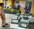 Phát hiện 6.000 gói thuốc lá Jet không có hóa đơn chứng từ 
