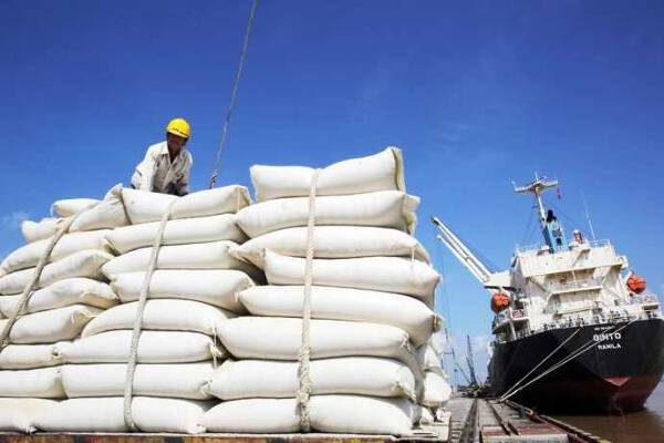 Xuất khẩu gạo tiếp tục có nhiều lợi thế trong nửa cuối năm