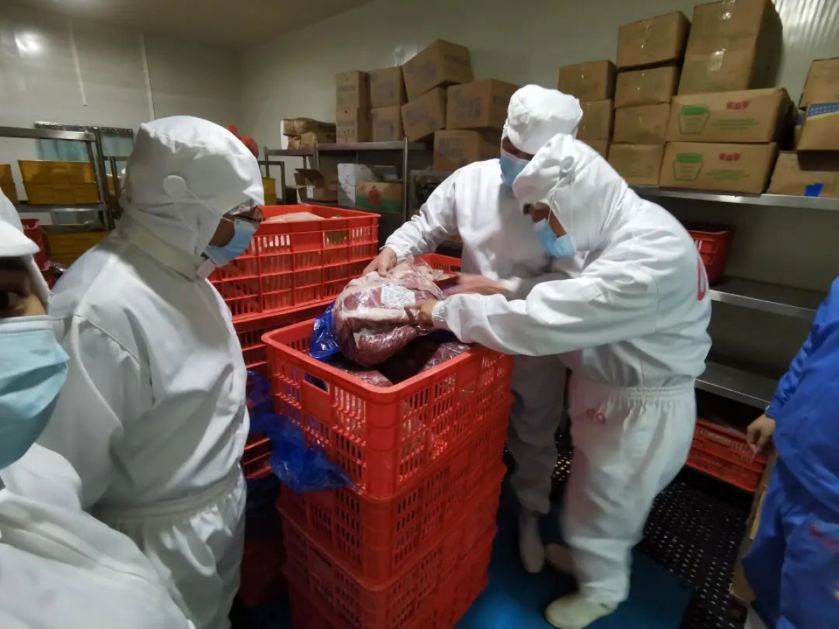 Một doanh nghiệp Việt Nam bị Trung Quốc đình chỉ xuất khẩu thủy sản