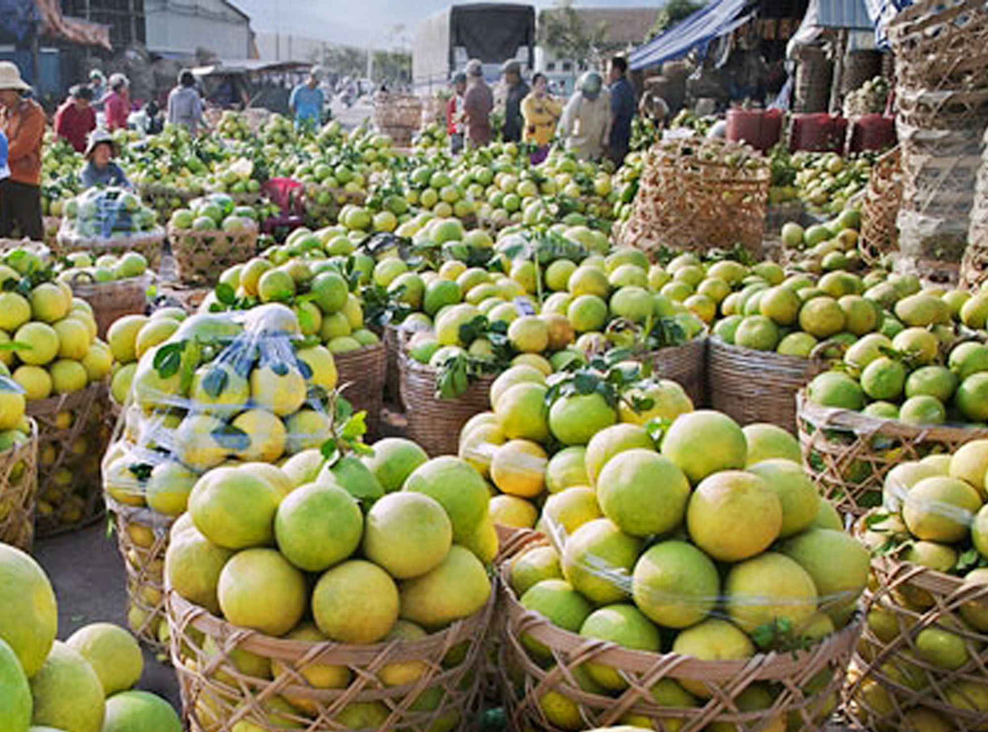 Xuất khẩu rau quả sang thị trường Trung Quốc và Nga giảm sâu