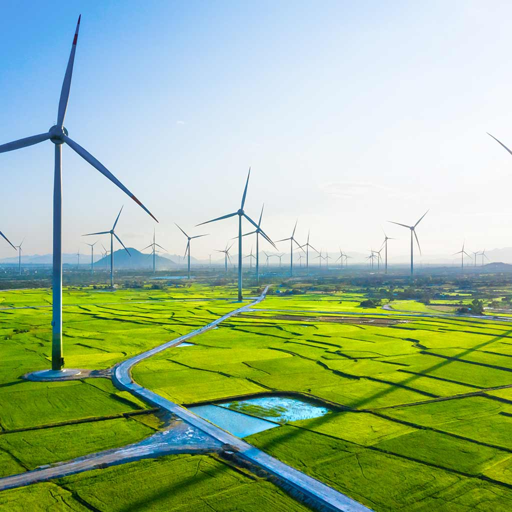 Bộ Công Thương kiến nghị về các dự án điện gió, điện mặt trời dở dang