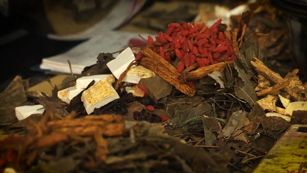 Hà Nội yêu cầu thu hồi triệt để 2 vị thuốc cổ truyền không đạt chất lượng