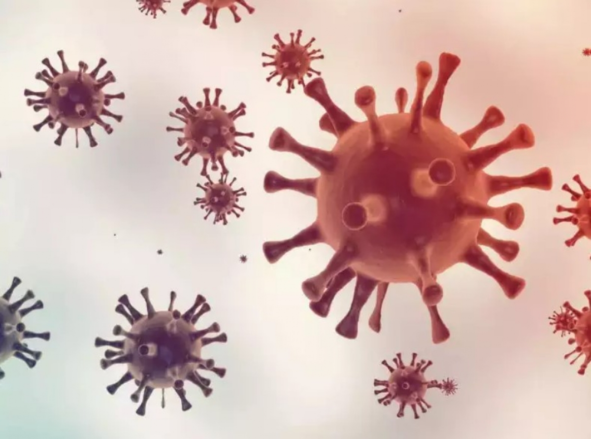 Cách nhận biết bệnh đậu mùa khỉ và cúm cà chua