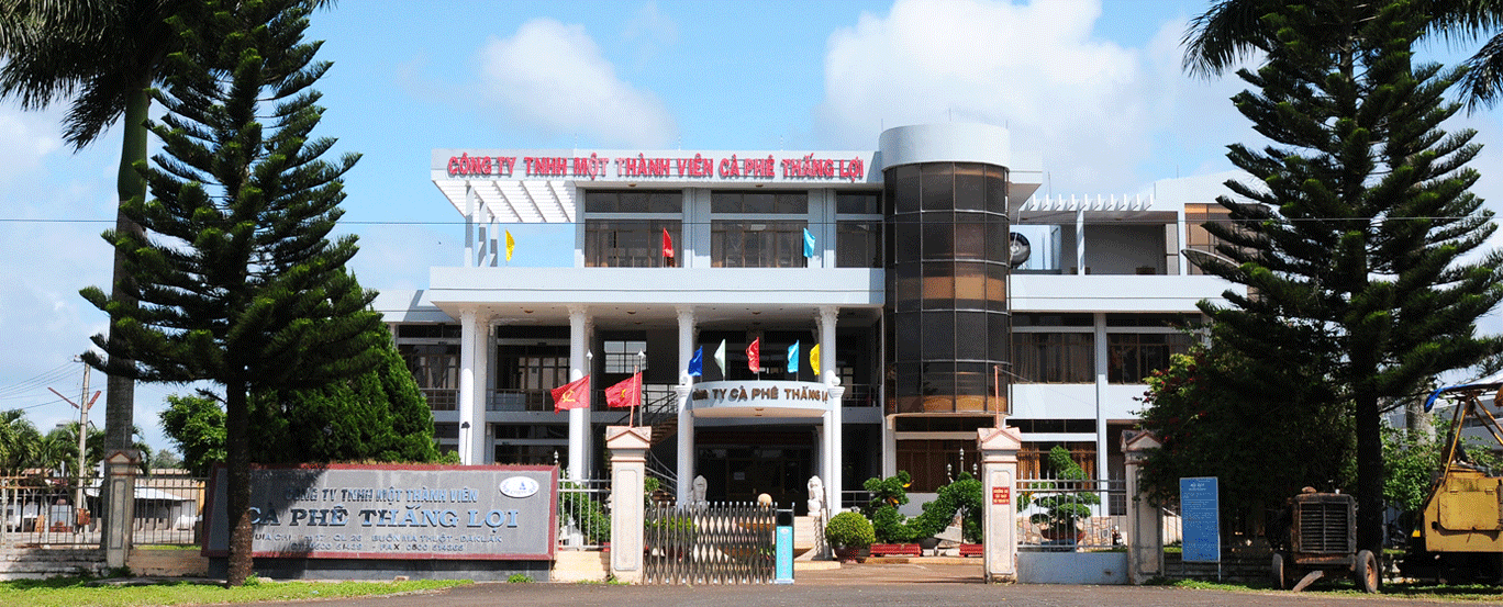 Kinh doanh thua lỗ, CFV vẫn tăng trần 12 phiên liên tiếp